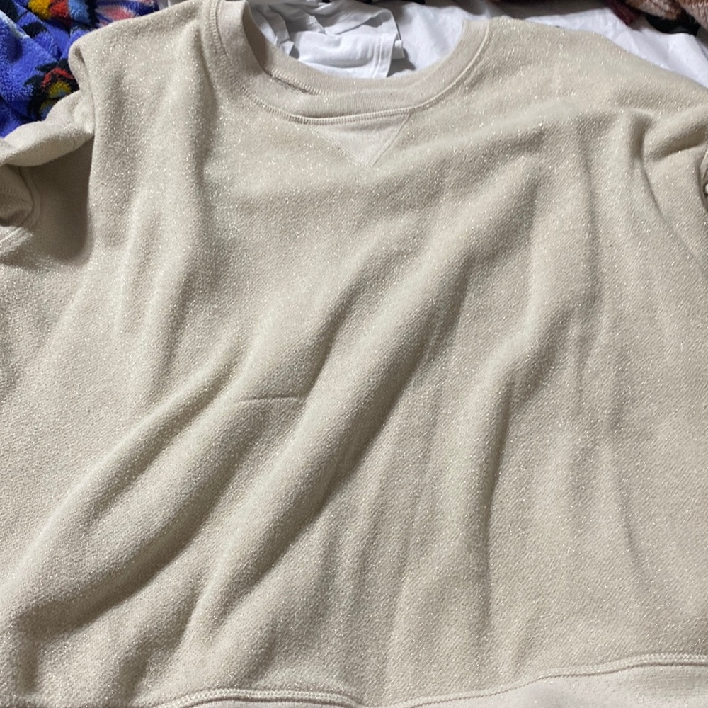 American Eagle Sparkly Sweatshirt